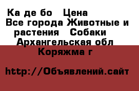 Ка де бо › Цена ­ 25 000 - Все города Животные и растения » Собаки   . Архангельская обл.,Коряжма г.